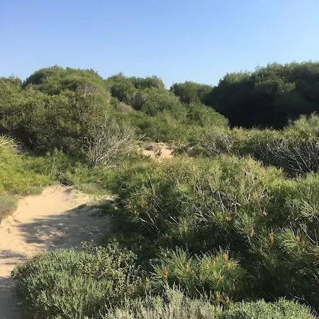 Anastasia! In Strofylia Pine Forest!!! Willa *