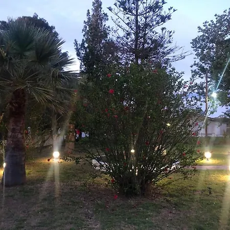 Anastasia! In Strofylia Pine Forest!!! Manolas