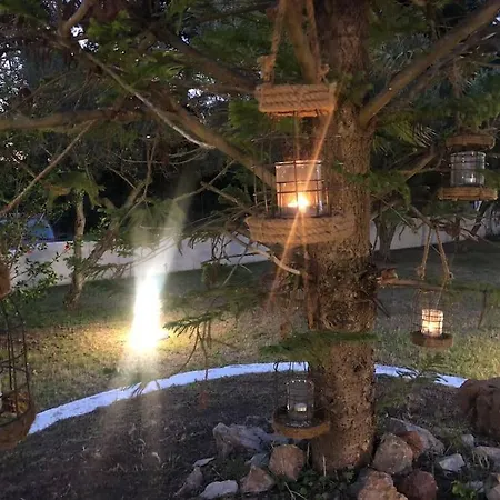 Anastasia! In Strofylia Pine Forest!!!