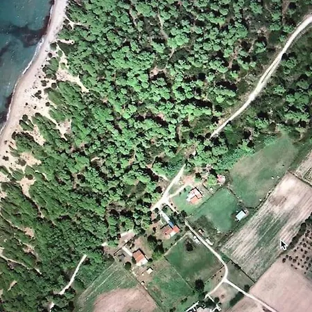 Anastasia! In Strofylia Pine Forest!!! Manolas