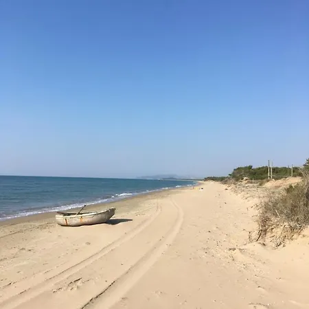 Willa Anastasia! In Strofylia Pine Forest!!!