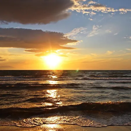 Anastasia! In Strofylia Pine Forest!!! Willa *