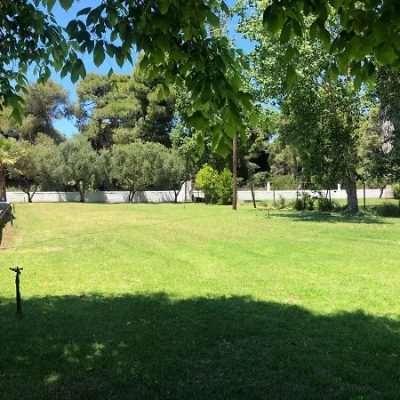 Anastasia! In Strofylia Pine Forest!!! *