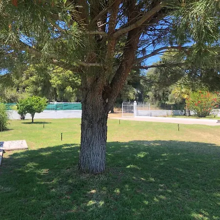 Anastasia! In Strofylia Pine Forest!!!