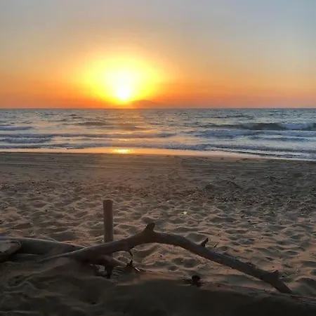 Anastasia! In Strofylia Pine Forest!!! Willa