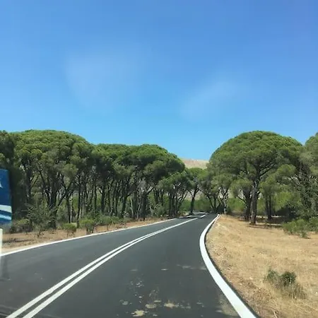 Anastasia! In Strofylia Pine Forest!!! *