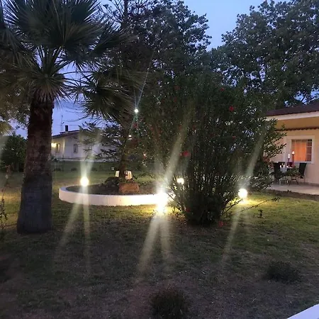 Anastasia! In Strofylia Pine Forest!!! Manolas