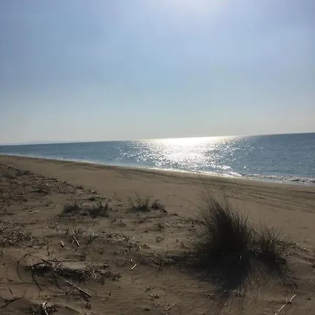 Willa Anastasia! In Strofylia Pine Forest!!! Manolas