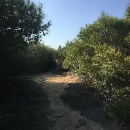 Anastasia! In Strofylia Pine Forest!!! Manolas