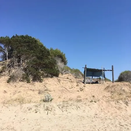 Anastasia! In Strofylia Pine Forest!!!