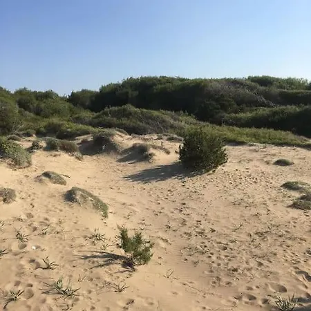 Anastasia! In Strofylia Pine Forest!!! Willa Manolas