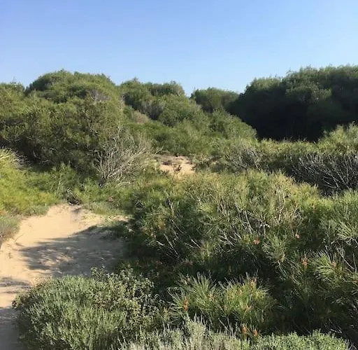 Anastasia! In Strofylia Pine Forest!!! Villa *