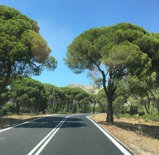 别墅 Anastasia! In Strofylia Pine Forest!!!