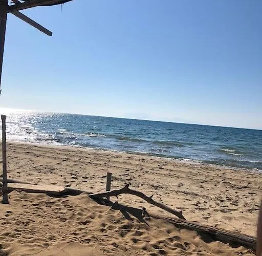 Anastasia! In Strofylia Pine Forest!!! *