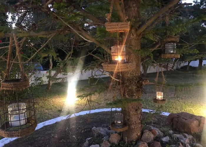 Anastasia! In Strofylia Pine Forest!!!