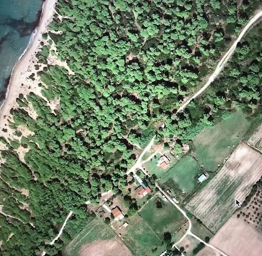 Anastasia! In Strofylia Pine Forest!!! Manolas