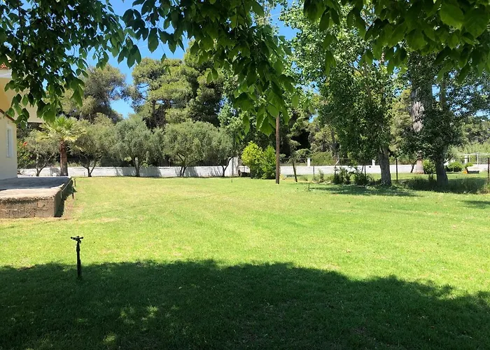 Anastasia! In Strofylia Pine Forest!!! *