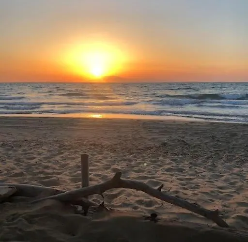 Anastasia! In Strofylia Pine Forest!!! 别墅