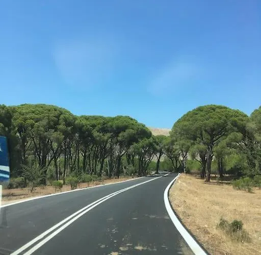 Anastasia! In Strofylia Pine Forest!!! *