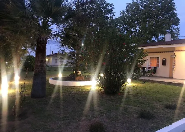 Anastasia! In Strofylia Pine Forest!!! Manolas