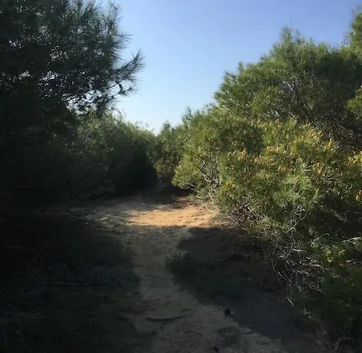 Anastasia! In Strofylia Pine Forest!!! Manolas