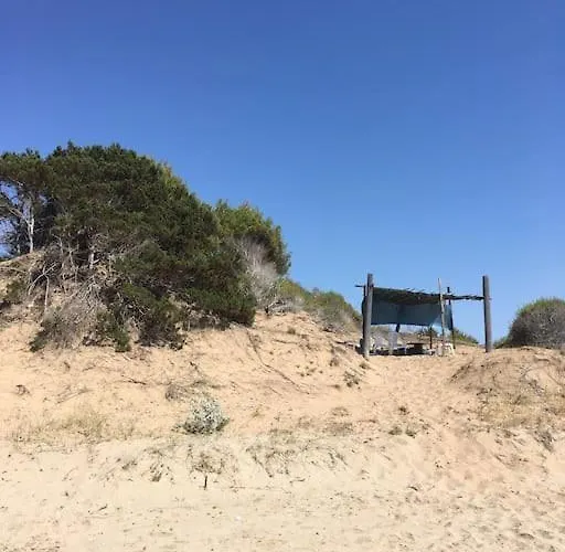 Anastasia! In Strofylia Pine Forest!!!