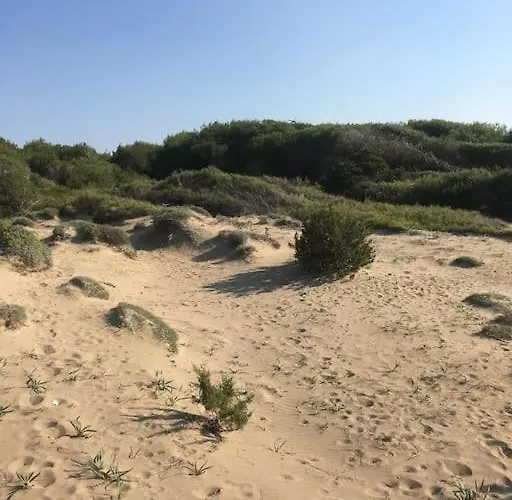 Anastasia! In Strofylia Pine Forest!!! 别墅 Manolas